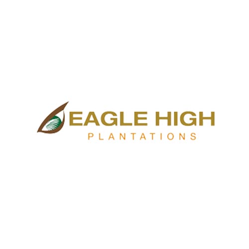 Info Lowongan PT Eagle High Plantations Tbk (EHP)